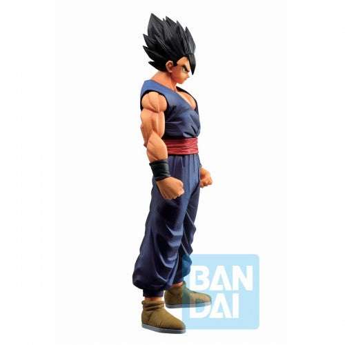 BANDAI TAMASHII NATIONS: DRAGON BALL SUPER GOHAN