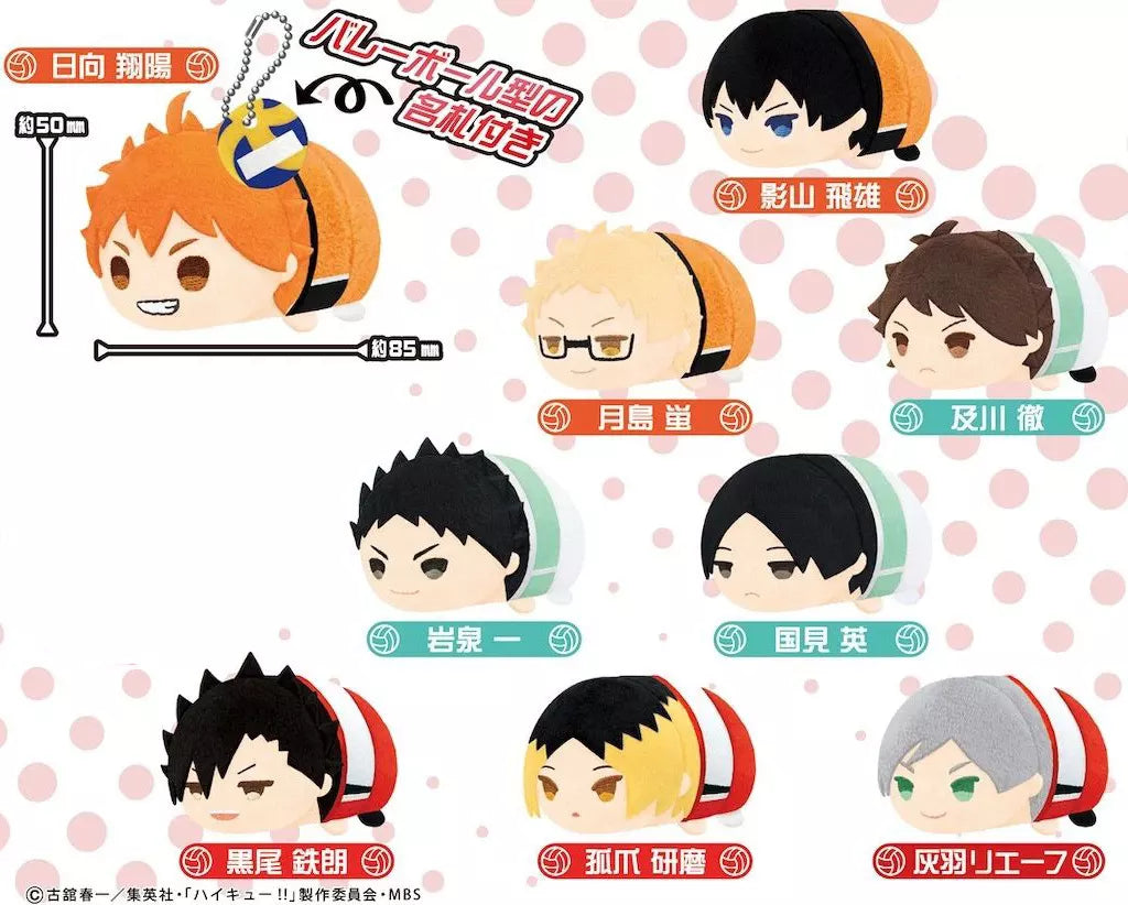 MOCHIMOCHI MASCOT HAIKYUU!! VOL.4 (1 CAJA)