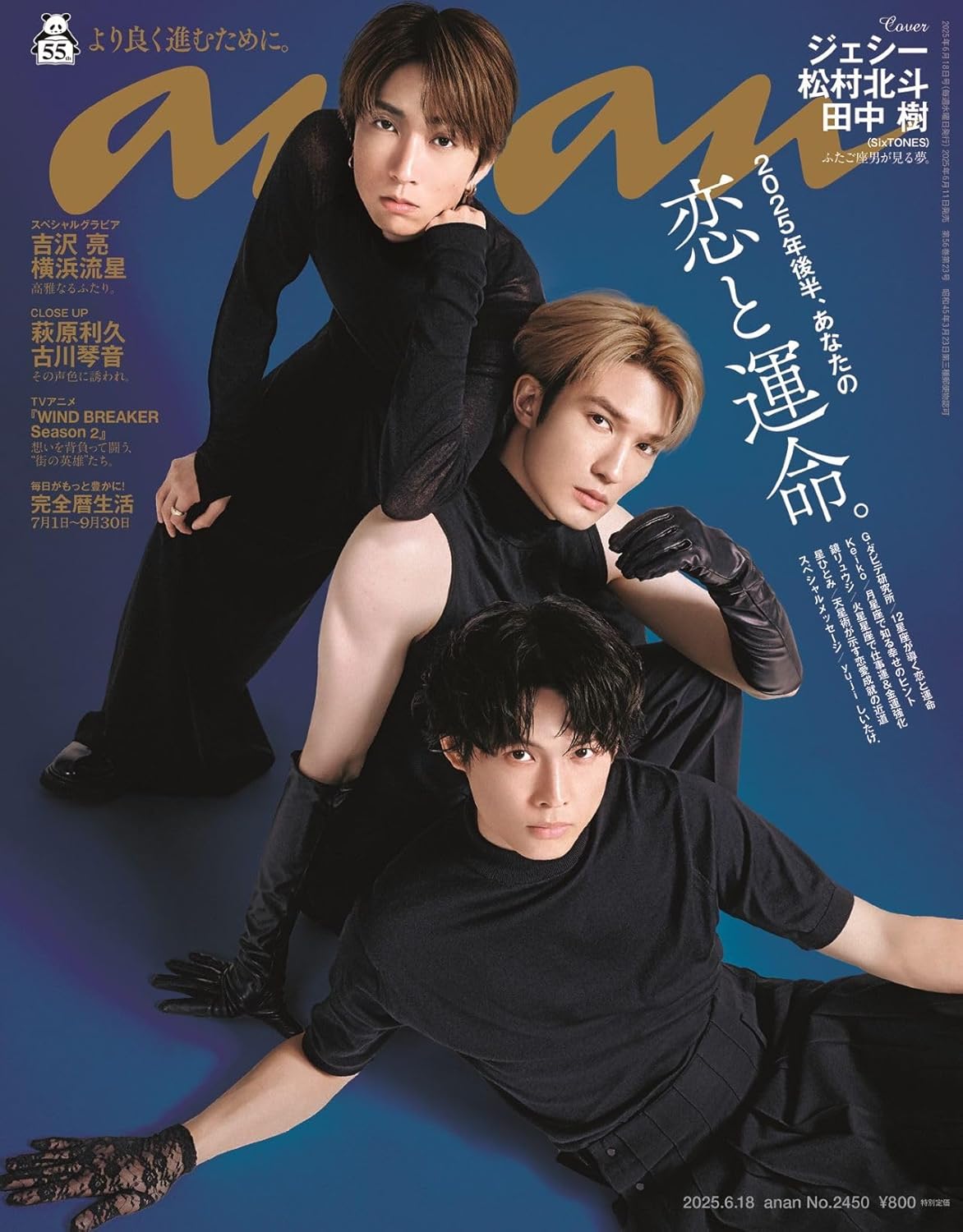 ANAN NO.2450 SPECIAL EDITION