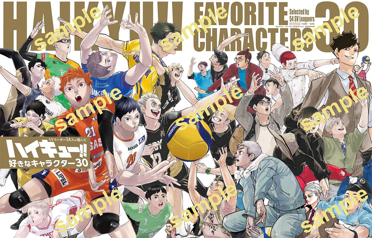 SPORTIVA JAPAN MAN´S VOLLEYBALL NATIONAL TEAM EDICIÓN ESPECIAL HAIKYUU!! 3