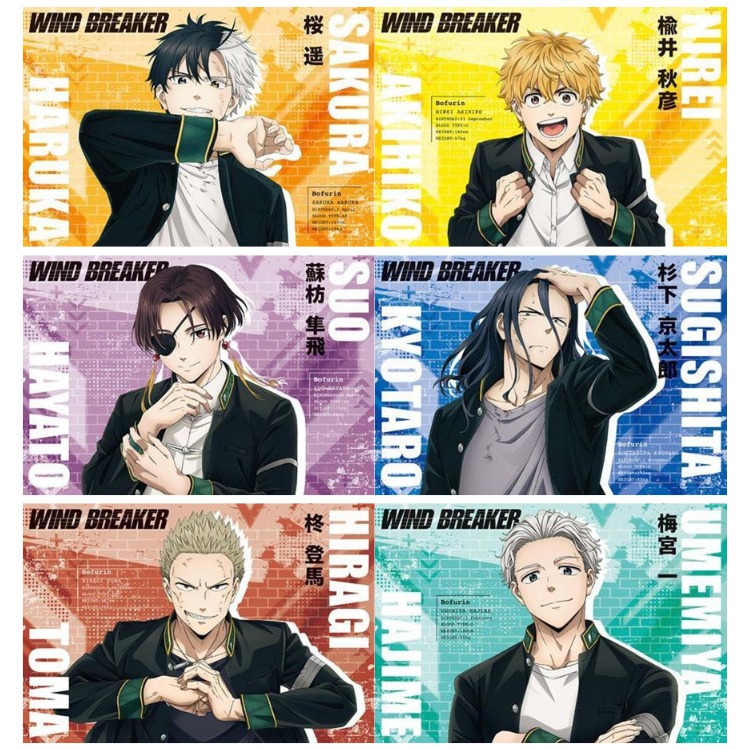 WIND BREAKER LIBRO DE POSTALES OFICIAL TEMPORADA 1