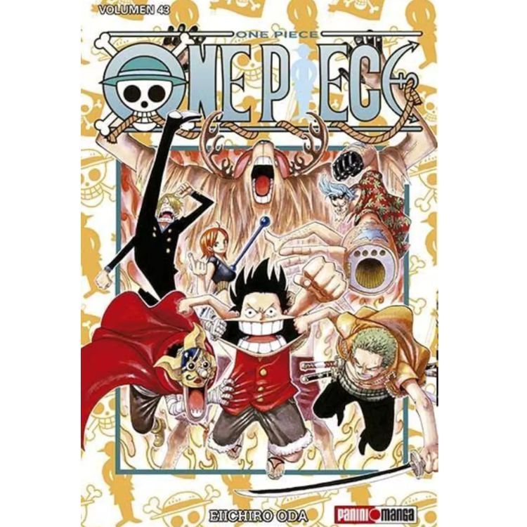ONE PIECE N.043