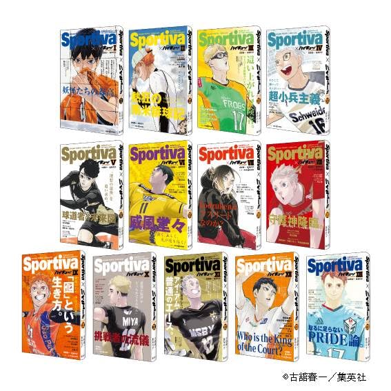 SPORTIVA JAPAN MAN´S VOLLEYBALL NATIONAL TEAM EDICIÓN ESPECIAL HAIKYUU!!