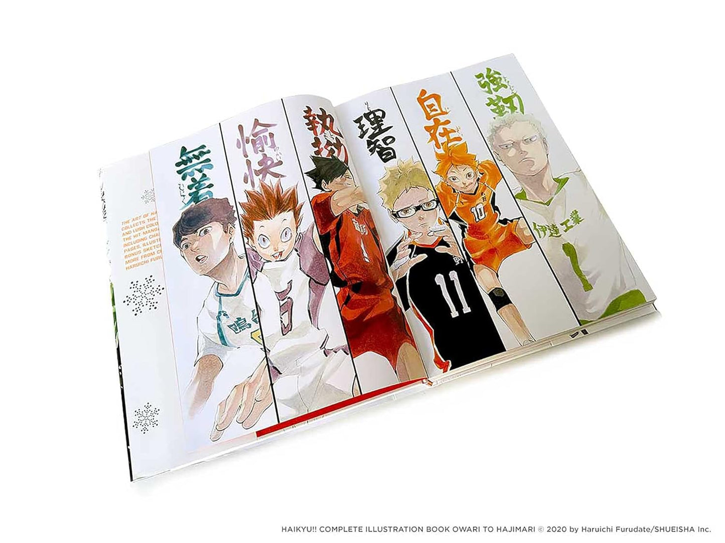 THE ART OF HAIKYU!!: ENDINGS AND BEGINNINGS LIBRO DE ARTE (CON DETALLE)