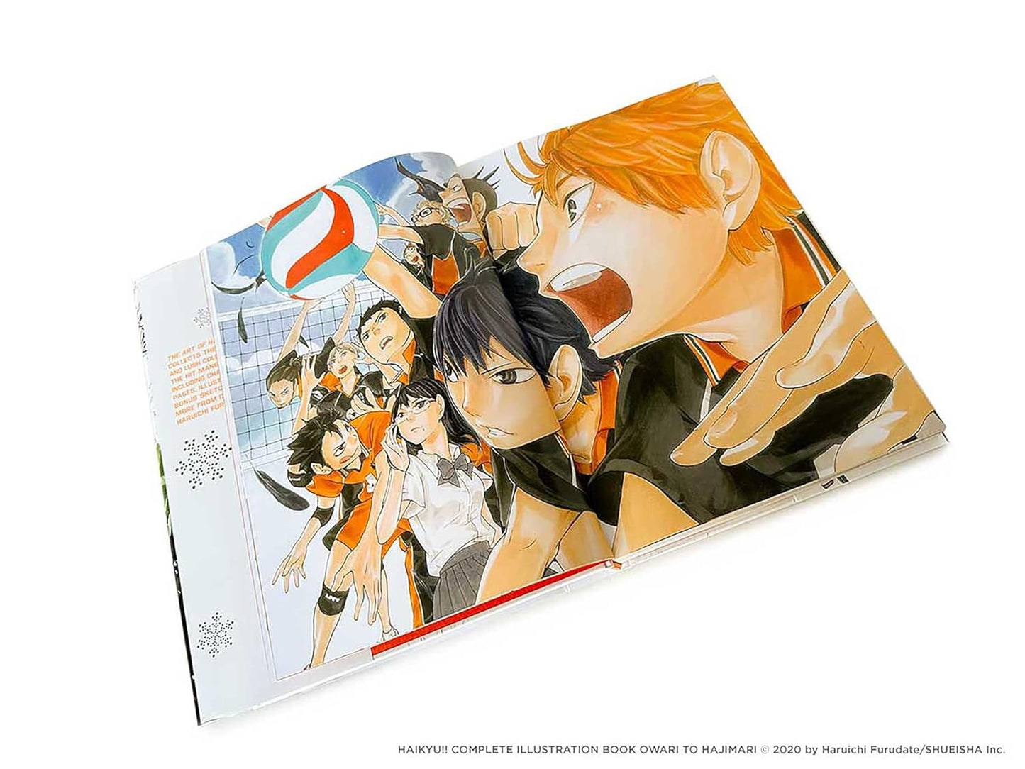 THE ART OF HAIKYU!!: ENDINGS AND BEGINNINGS LIBRO DE ARTE (CON DETALLE)