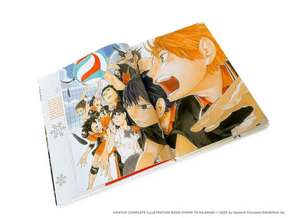 THE ART OF HAIKYU!!: ENDINGS AND BEGINNINGS LIBRO DE ARTE (CON DETALLE)