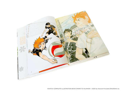 THE ART OF HAIKYU!!: ENDINGS AND BEGINNINGS LIBRO DE ARTE (CON DETALLE)