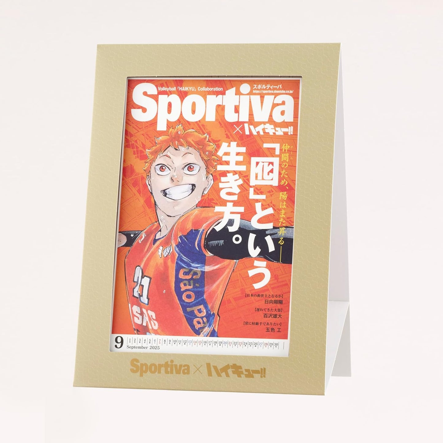 SPORTIVA JAPAN MAN´S VOLLEYBALL NATIONAL TEAM EDICIÓN ESPECIAL HAIKYUU!!