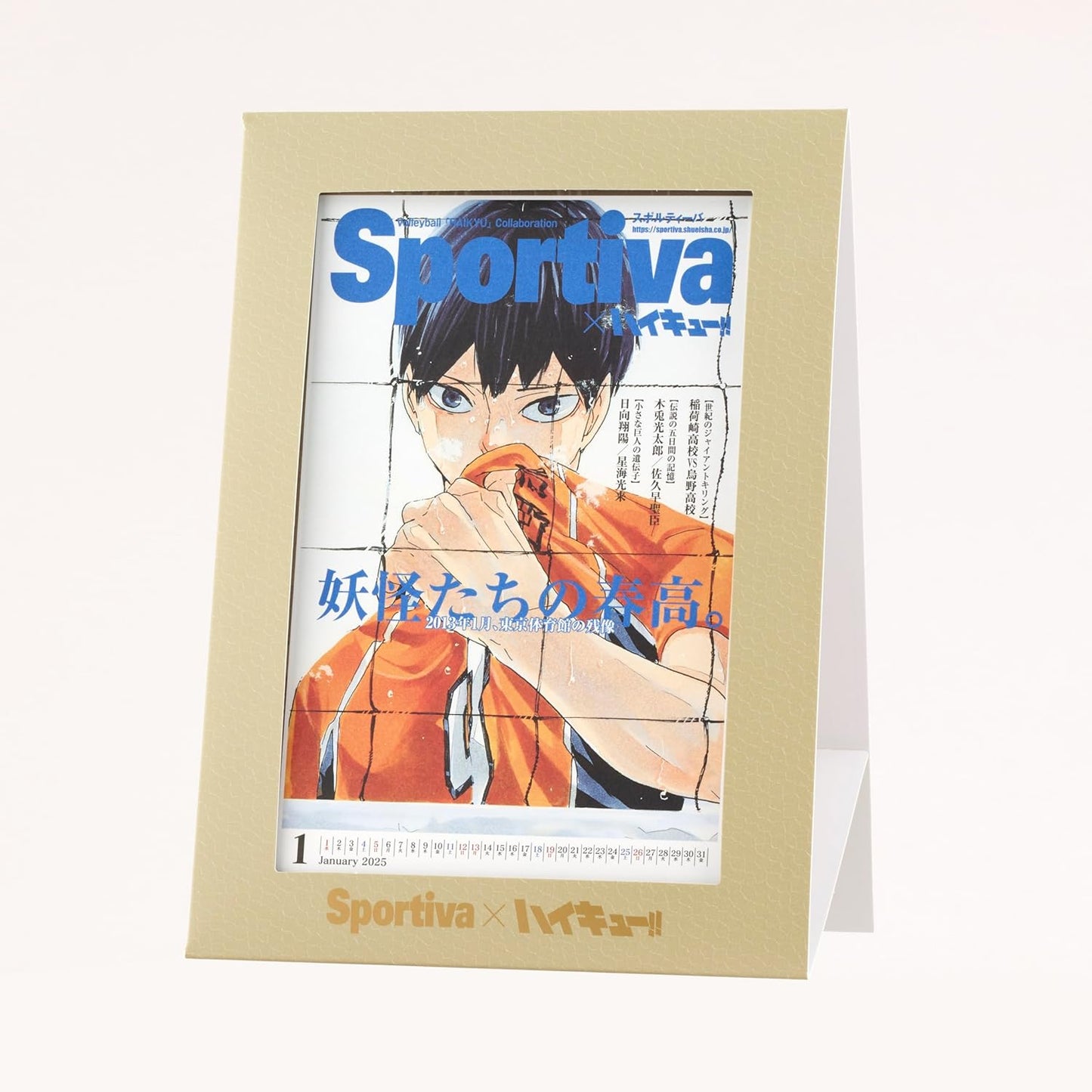 SPORTIVA JAPAN MAN´S VOLLEYBALL NATIONAL TEAM EDICIÓN ESPECIAL HAIKYUU!!