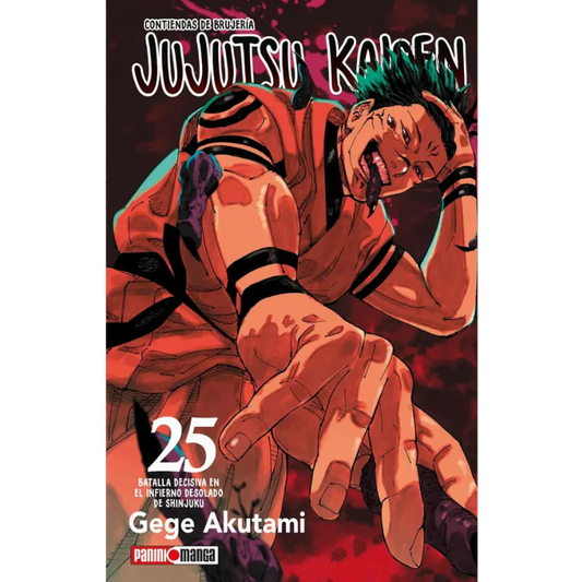 JUJUTSU KAISEN N.25