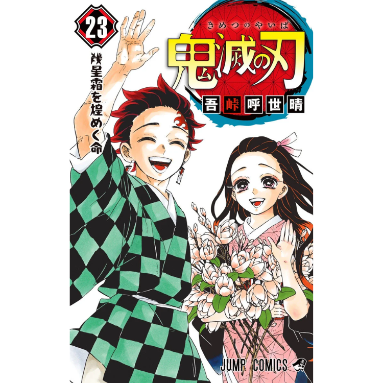 DEMON SLAYER N.23 ED. ESPECIAL JP