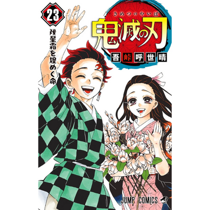 DEMON SLAYER N.23 ED. ESPECIAL JP