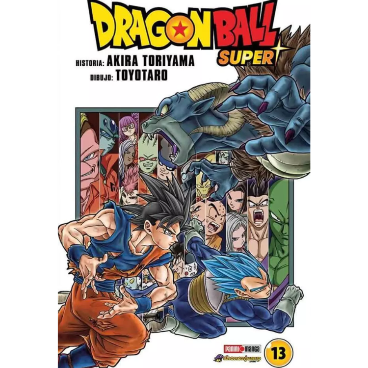 DRAGON BALL SUPER N.13