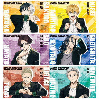 WIND BREAKER LIBRO DE POSTALES OFICIAL TEMPORADA 1