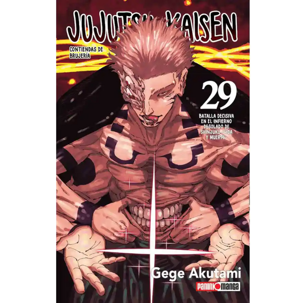 JUJUTSU KAISEN N.29
