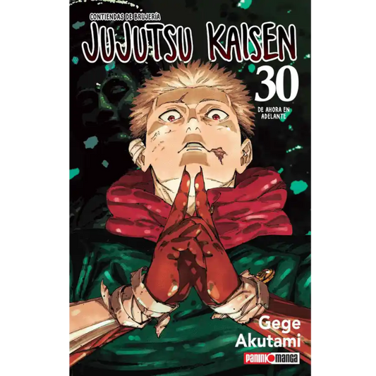 JUJUTSU KAISEN N.30