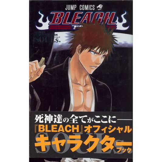 BLEACH CHARACTER BOOK SOULS