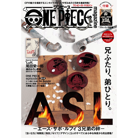 ONE PIECE MAGAZINE VOL.12