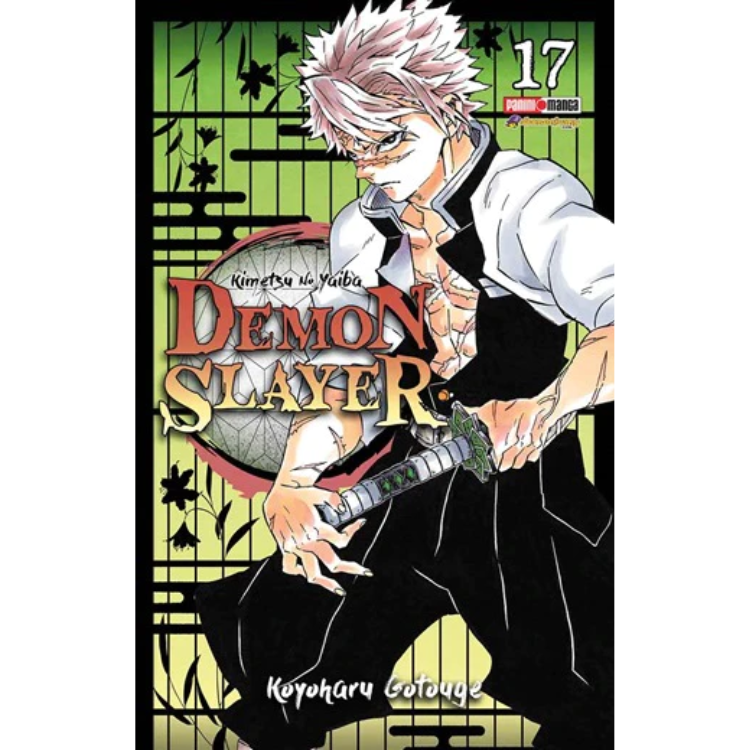 DEMON SLAYER N.17