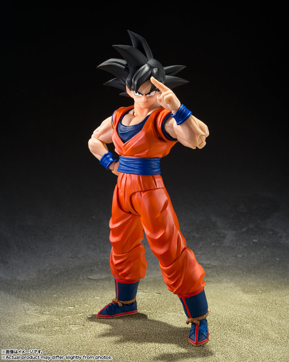 BANDAI - DRAGON BALL Z GOKU THE KIND HEARTED SAIYAN - S.H. FIGUARTS